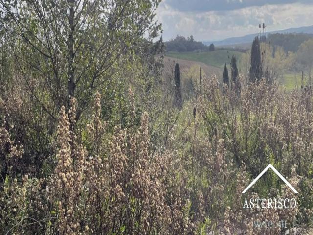 Case - Terreno agricolo - loc. sant'andrea a montecchio - siena (si)