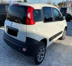 Auto - Fiat panda 1.3 mjt 4x4 pop van 2 posti