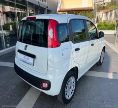 Auto - Fiat panda 1.2 easy