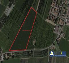 Terreni agricoli in via argini, ravarino (mo) - fraz. rami