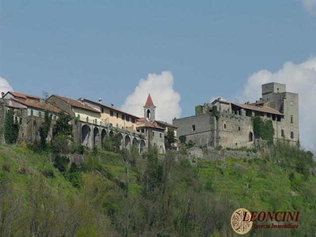 Case - A363 rustico in centro storico con giardino e terrazza