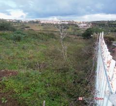 Case - Faro superiore, terreno agricolo di ampia metratura