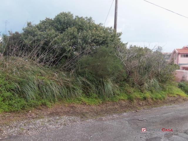 Case - Faro superiore, terreno agricolo di ampia metratura