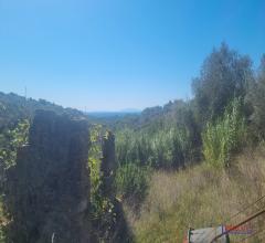 Case - Rudere panoramico caletta terra