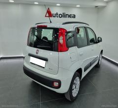 Auto - Fiat panda 1.3 mjt 80 cv s&s easy