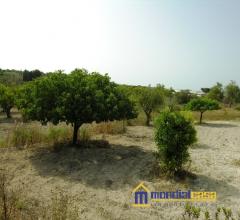 Appartamenti in Vendita - Matteotti