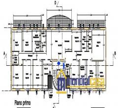 Case - Morodue