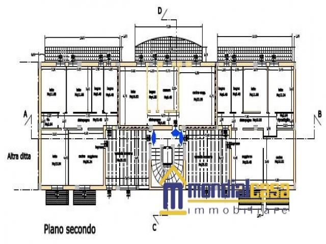 Case - Morodue