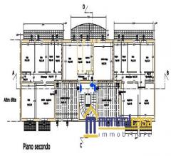 Case - Morodue