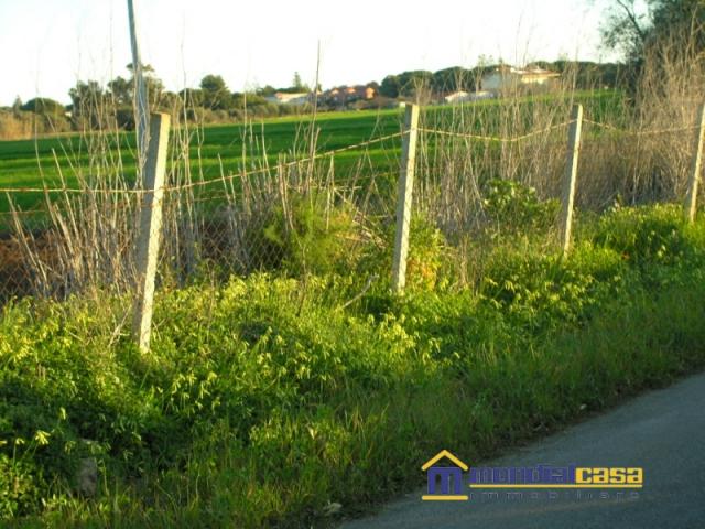 Appartamenti in Vendita - San lorenzo
