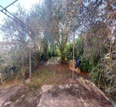 Case - Villa singola tipo viareggina con giardino su quattro lati