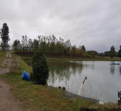 Case - Campeggio con lago per pesca sportiva