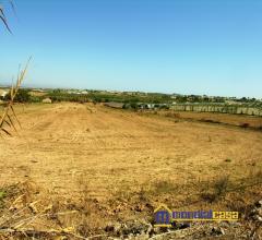 Appartamenti in Vendita - Carrata