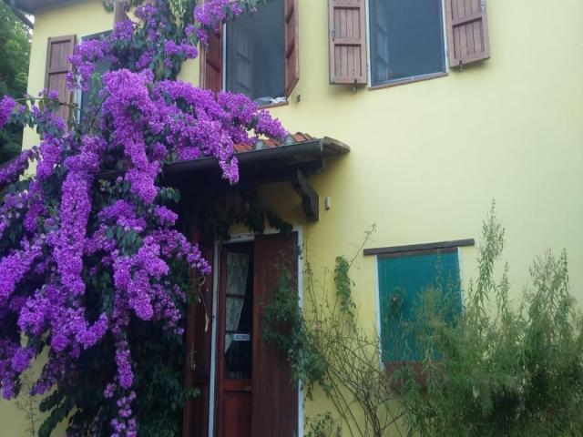 Massarosa in posizione panoramica villa singola immersa nel verde e nella tranquillita'