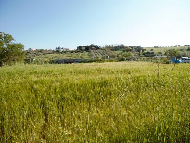 Appartamenti in Vendita - Terreno edificabile in vendita a silvi periferia