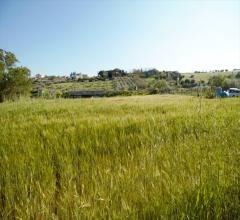 Appartamenti in Vendita - Terreno edificabile in vendita a silvi periferia