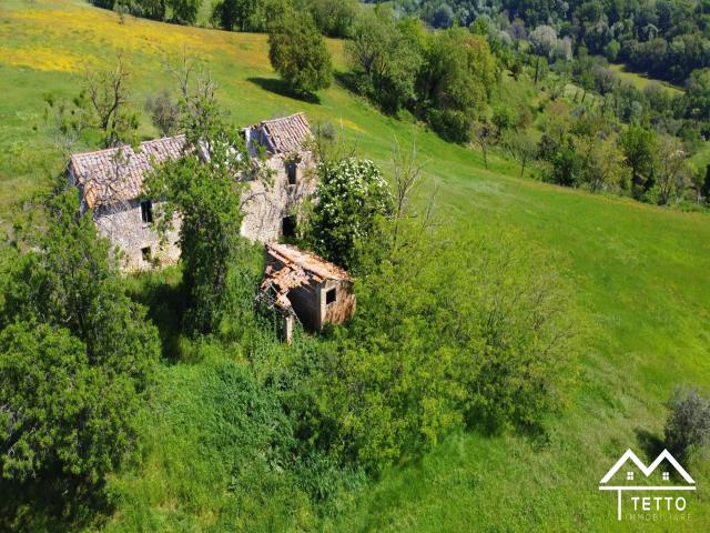 Case - Antico casale panoramicissimo con 22 ettari di terreno
