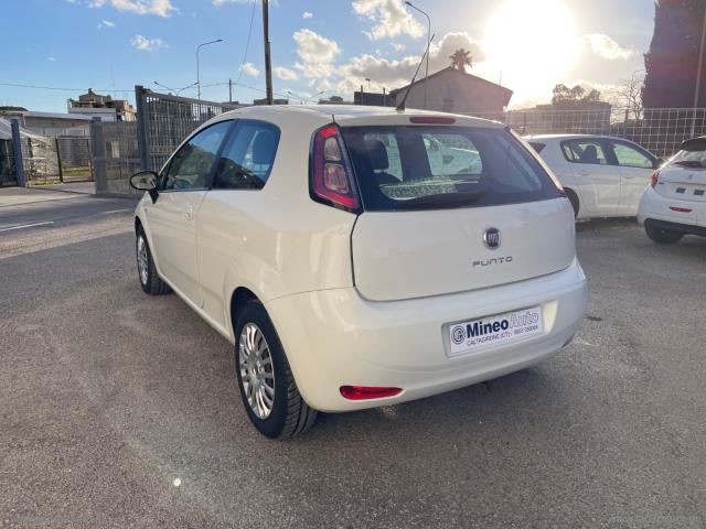 Auto - Fiat punto 1.3 mjt 75cv easy 5 posti e5+