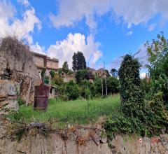 Terreno agricolo bordonaro