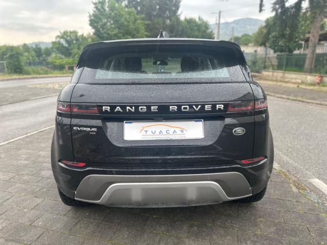 Auto - Land rover rr evoque 2.0d 150cv business ed premium