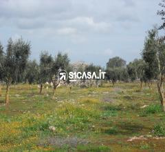 Case - Terreno agricolo in contrada spina