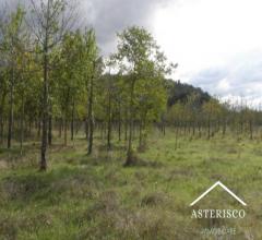 Case - Terreno agricolo - localita' petrognano - arezzo (ar)