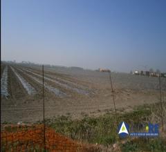 Case - Fondo agricolo con abitazione e terreni in via perossaro n.1185, san felice sul panaro (mo)