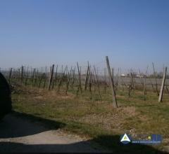 Case - Fondo agricolo con abitazione e terreni in via perossaro n.1185, san felice sul panaro (mo)