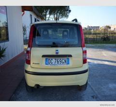 Auto - Fiat panda 1.2 dynamic