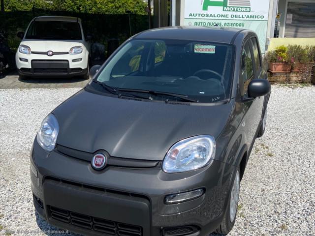 Auto - Fiat panda 1.0 firefly s&s hybrid