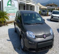 Auto - Fiat panda 1.0 firefly s&s hybrid