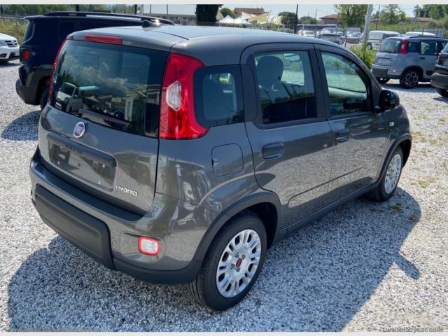 Auto - Fiat panda 1.0 firefly s&s hybrid