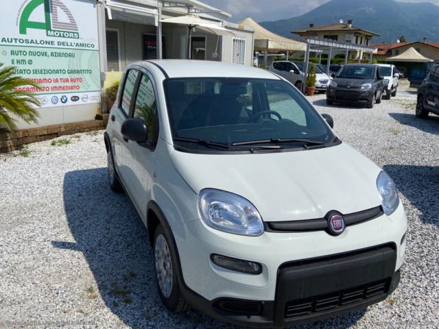 Auto - Fiat panda 1.0 firefly s&s hybrid