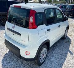 Auto - Fiat panda 1.0 firefly s&s hybrid