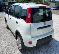 Auto - Fiat panda 1.0 firefly s&s hybrid