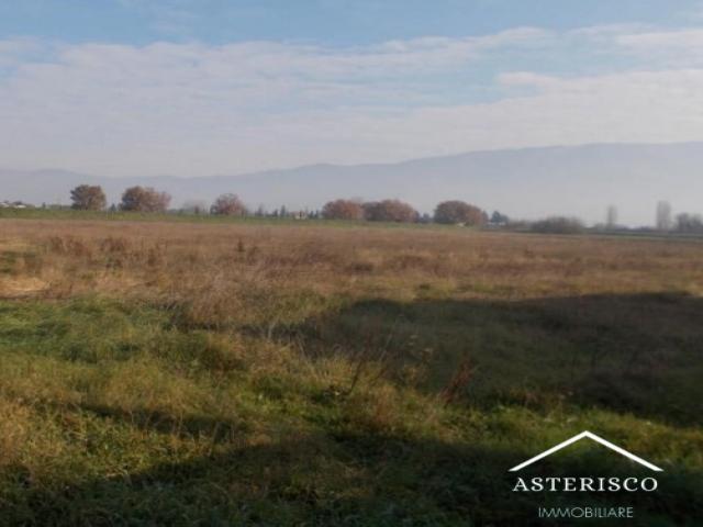 Terreno - localita' madonna della stella - montefalco (pg)
