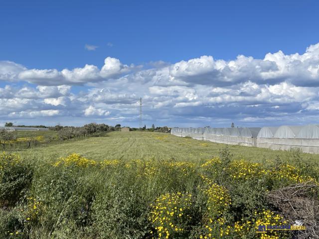 Appartamenti in Vendita - Burgione