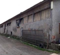 Azienda agricola - via 3 giugno 55