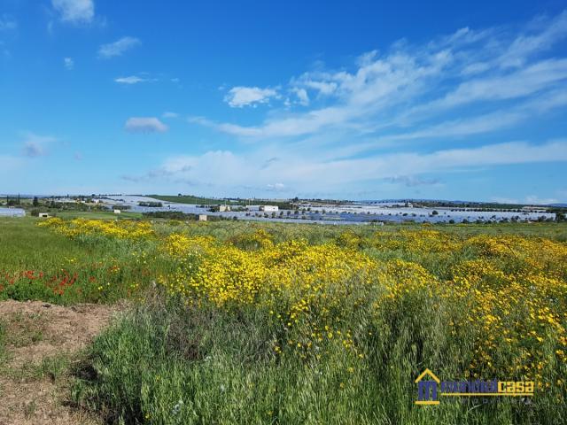 Appartamenti in Vendita - Terreno cda burgio
