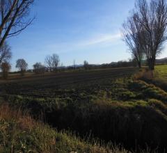 Case - Terreno agricolo di 8 ha fidenza