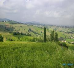 Terreno agricolo