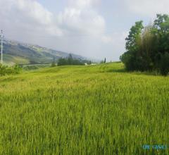 Case - Terreno agricolo