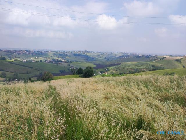 Case - Terreno agricolo