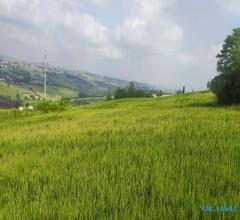 Case - Terreno agricolo