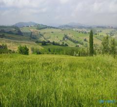 Case - Terreno agricolo