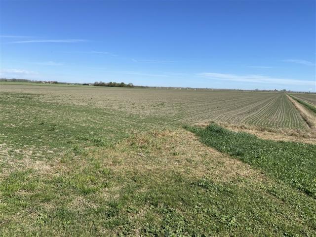 Case - Terreno agricolo di 8 ettari con pozzo a corpo unico