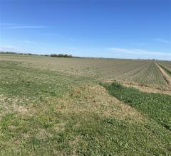 Case - Terreno agricolo di 8 ettari con pozzo a corpo unico