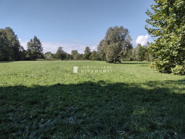 Terreno agricolo in vendita ad annone brianza.