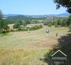 Terreno agricolo - localita' casa ai venti - monticiano (si)