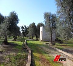 Case - Trullo tradizionale con ampio terreno e possibilità di ampliamento e piscina